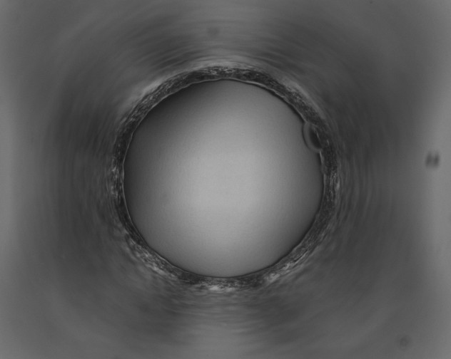 X0000090900822200708270942