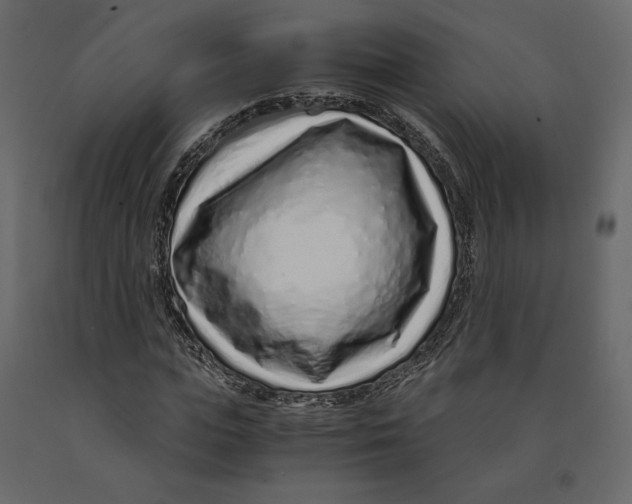 X0000090900823200708270942