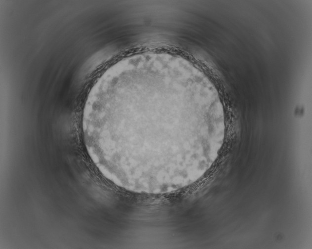 X0000090900824200708270942