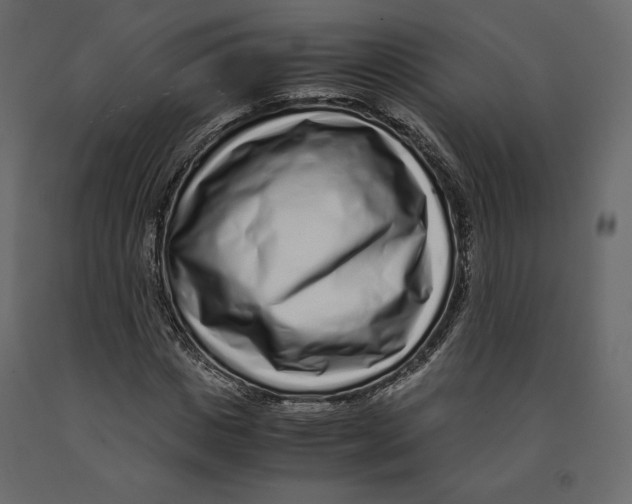 X0000090900825200708270942