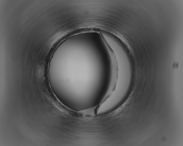 X0000090900826200708270942