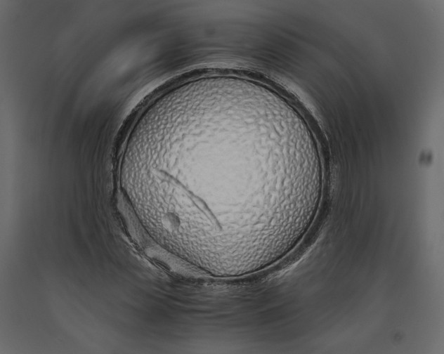 X0000090900829200708270942