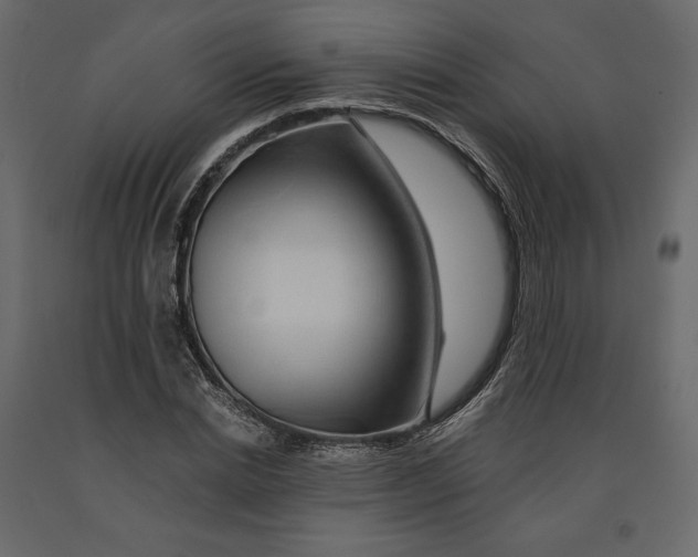 X0000090900830200708270942