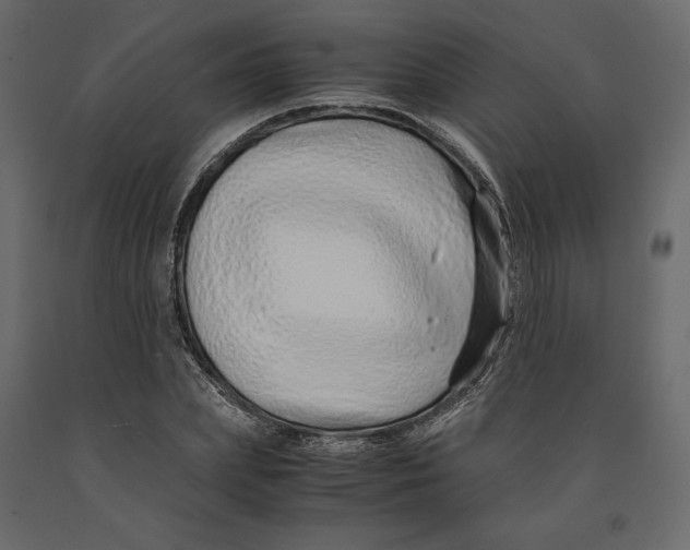 X0000090900831200708270942