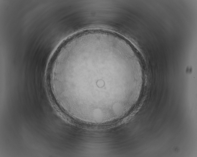 X0000090900832200708270942