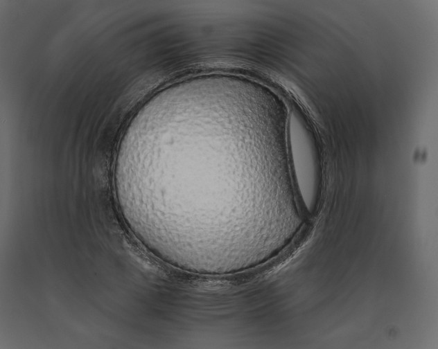 X0000090900833200708270942