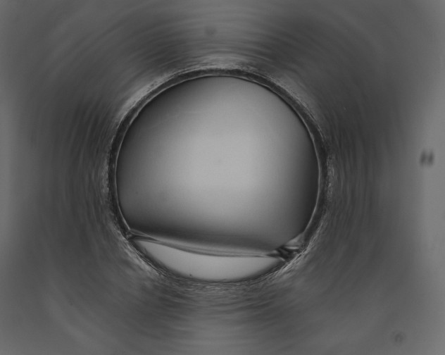 X0000090900834200708270942