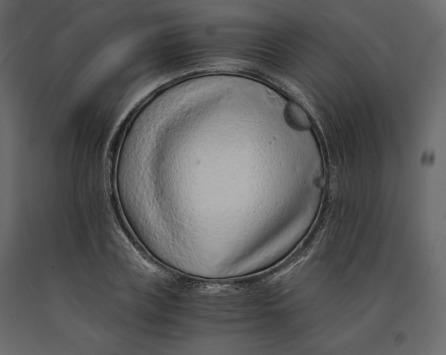 X0000090900835200708270942