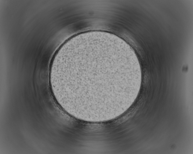 X0000090900836200708270942