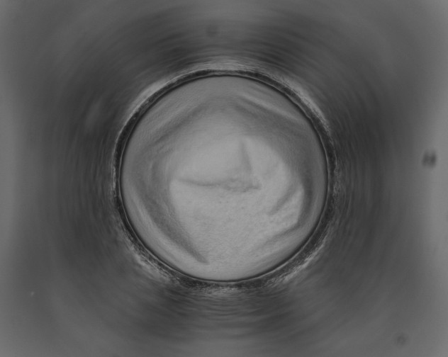 X0000090900837200708270942