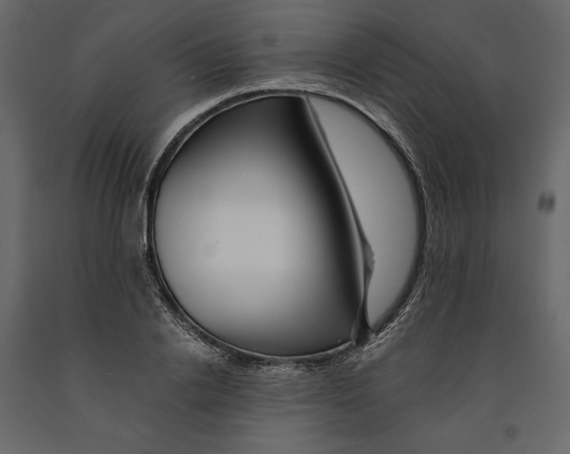 X0000090900838200708270942
