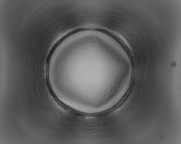 X0000090900839200708270942