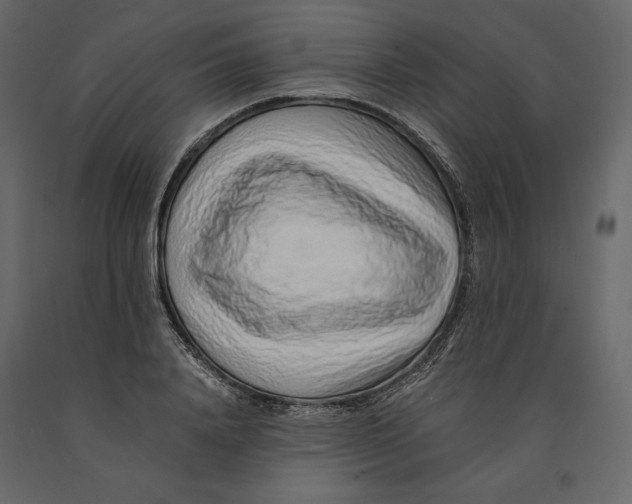 X0000090900840200708270942