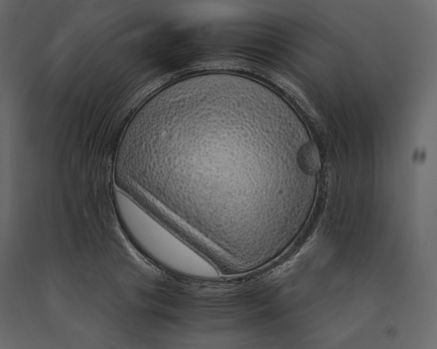 X0000090900841200708270942