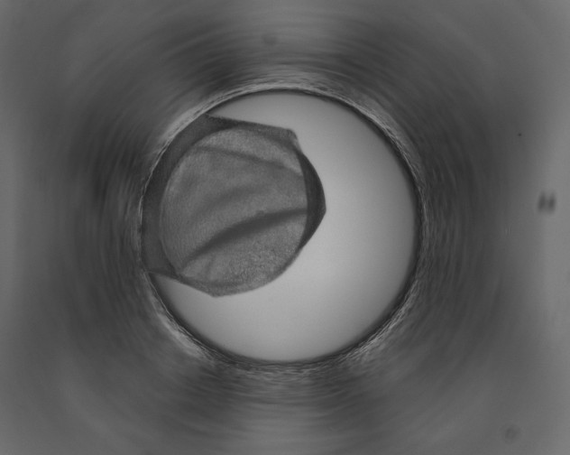 X0000090900842200708270942