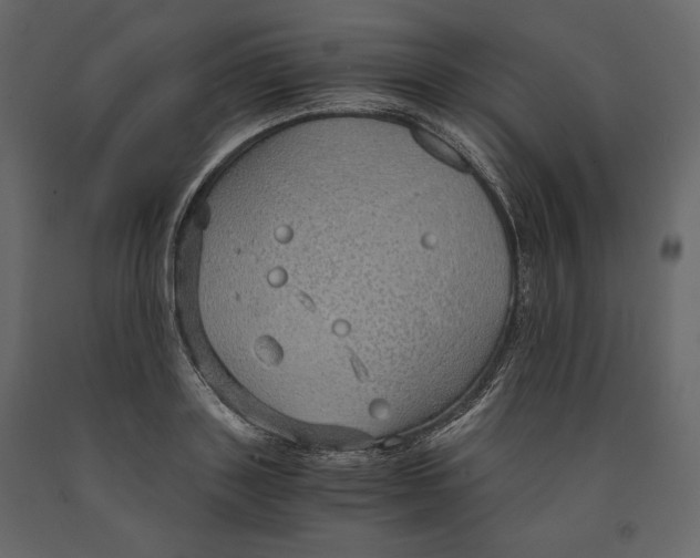 X0000090900843200708270942