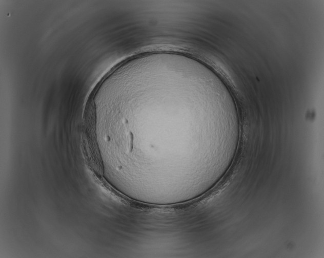 X0000090900844200708270942