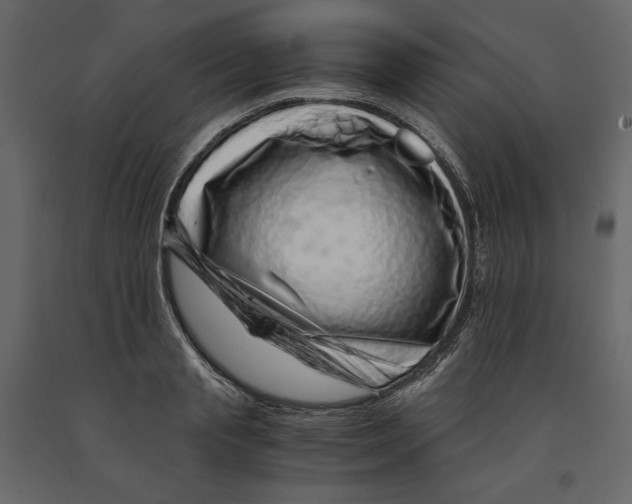 X0000090900845200708270942