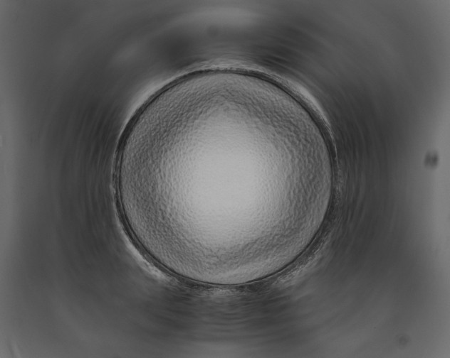 X0000090900847200708270942