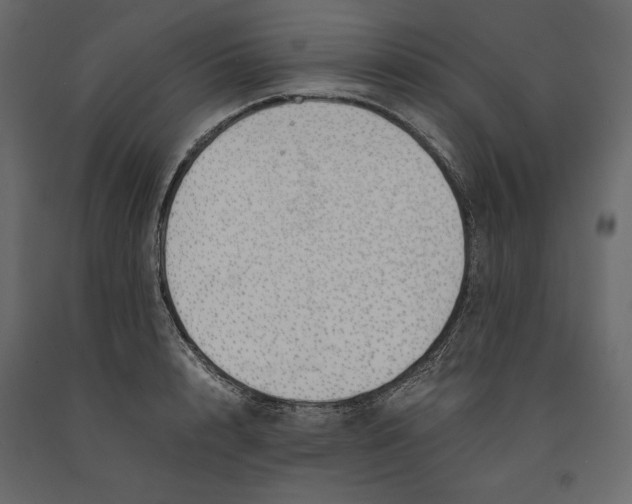 X0000090900848200708270942