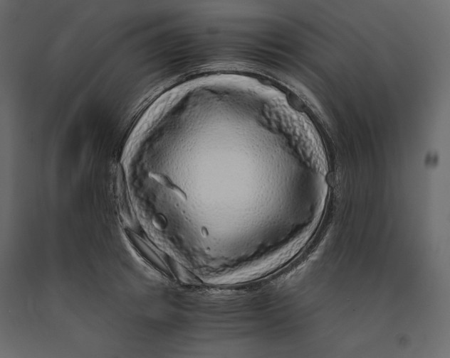 X0000090900849200708270942