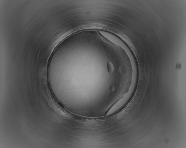 X0000090900850200708270942
