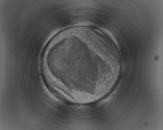 X0000090900851200708270942