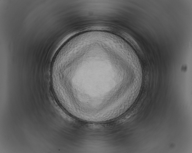 X0000090900852200708270942