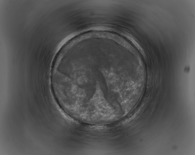 X0000090900853200708270942