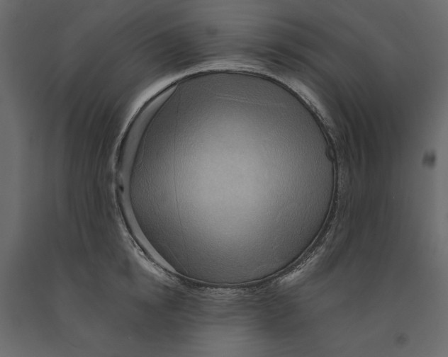 X0000090900854200708270942