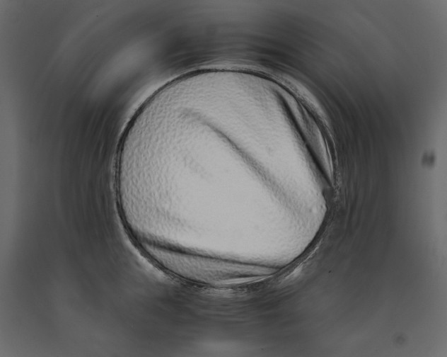 X0000090900855200708270942