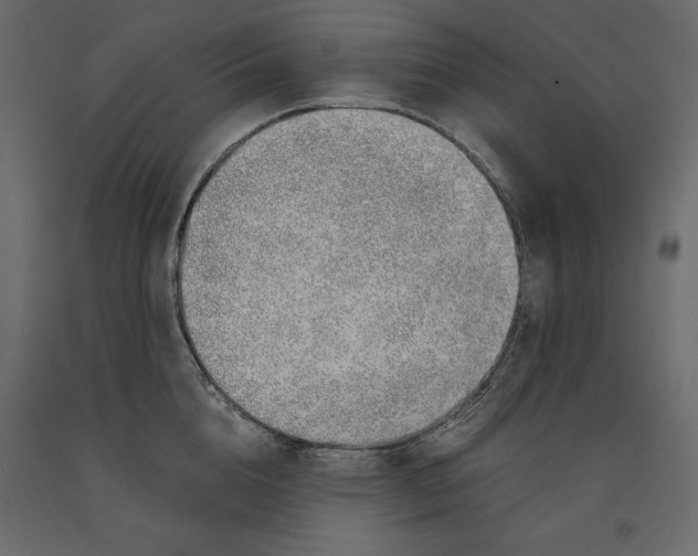 X0000090900856200708270942