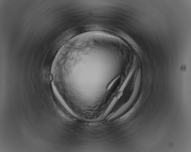 X0000090900857200708270942