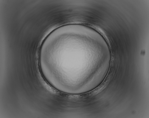 X0000090900859200708270942