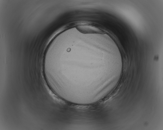 X0000090900861200708270942