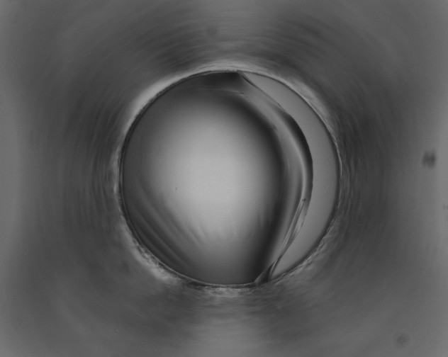 X0000090900862200708270942