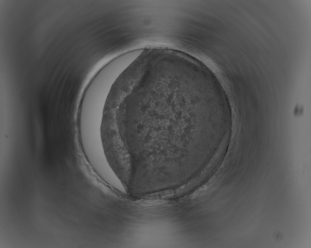 X0000090900864200708270942