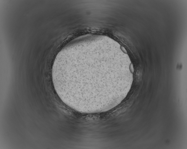 X0000090900865200708270942