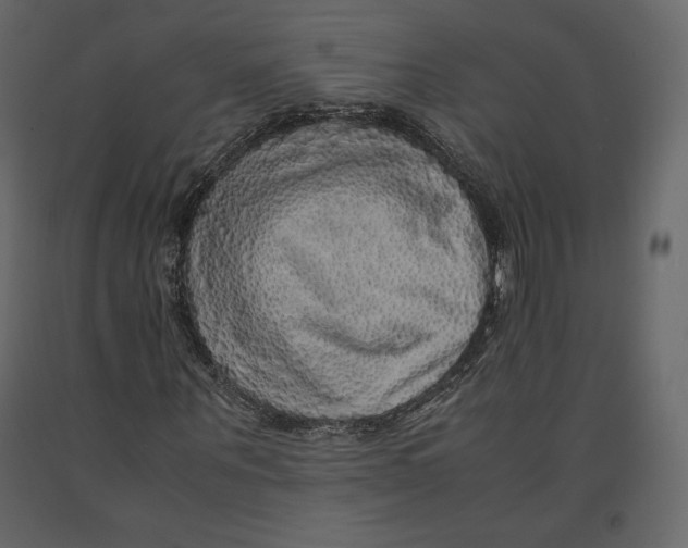 X0000090900867200708270942