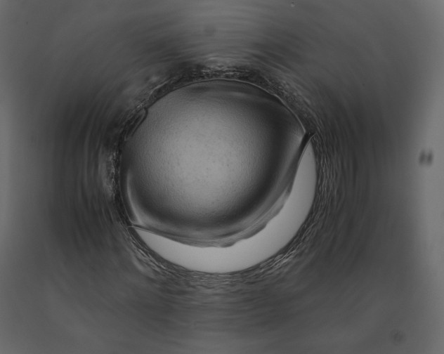 X0000090900868200708270942