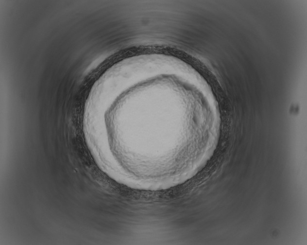 X0000090900871200708270942