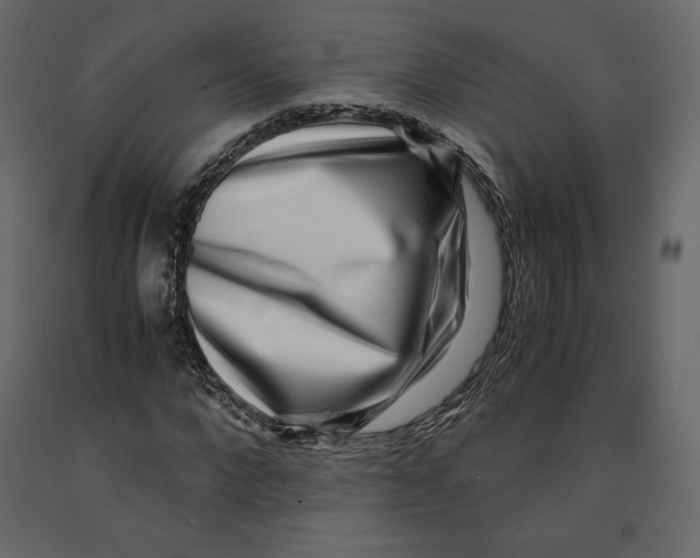 X0000090900872200708270942