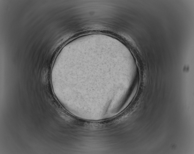 X0000090900873200708270942