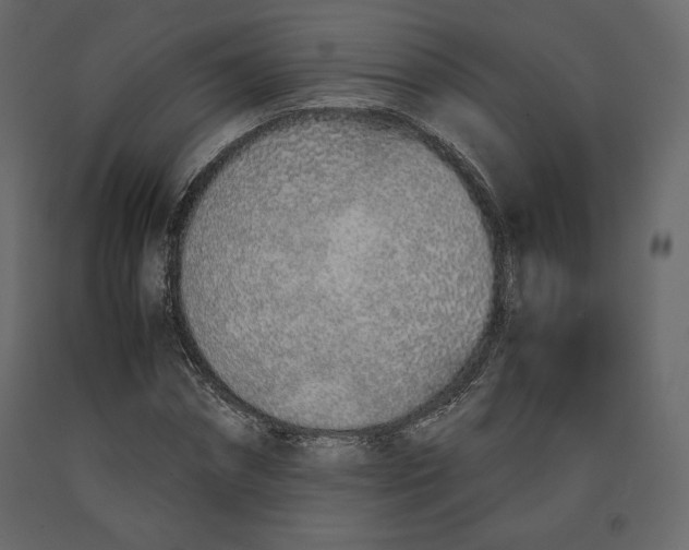 X0000090900874200708270942