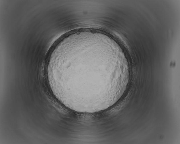 X0000090900875200708270942
