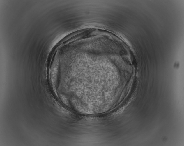 X0000090900877200708270942