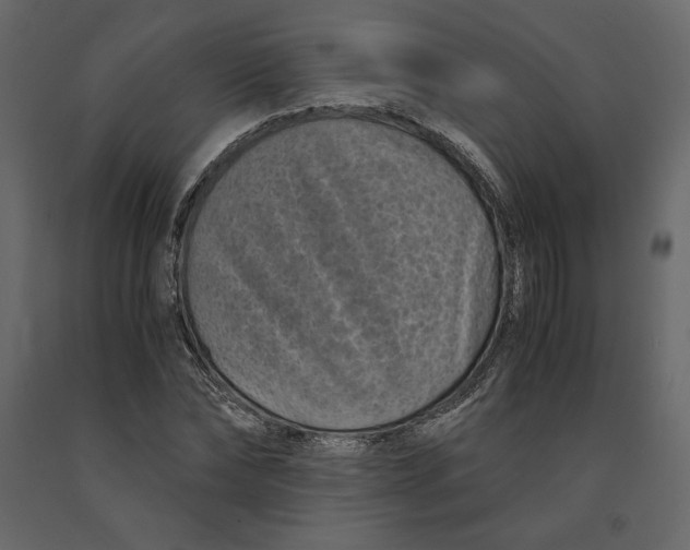 X0000090900878200708270942