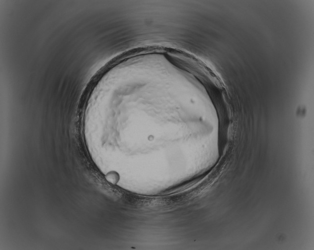 X0000090900879200708270942