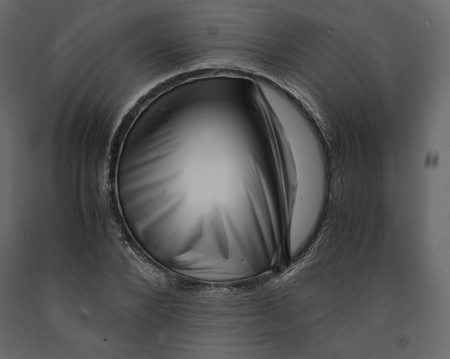 X0000090900880200708270942