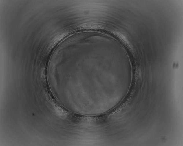 X0000090900881200708270942
